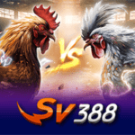winbox sv 388